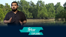 explainer_sundarban_web.jpg