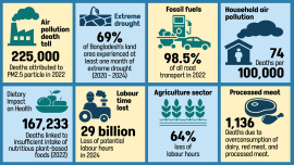 deaths from air pollution in Bangladesh