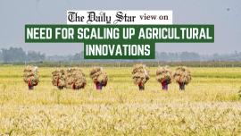 climate change impact on Bangladesh food production