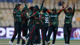 tigresses_yearender.jpg