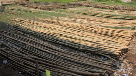 A Century of bamboo Kalarbazars living legacy.jpg