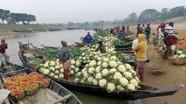 ED 1 - When winter forgets to visit.jpg