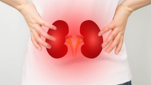 Kidneys-silent-mode.jpg
