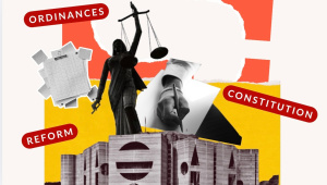 future of 133 ordinances in the new parliament