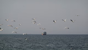 Bangladesh garment export logistics crisis 2026