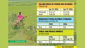 boro paddy prices in Bangladesh 2026