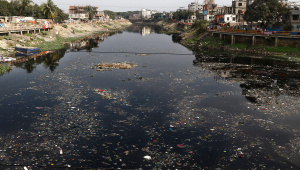 ecocide legal action under international law