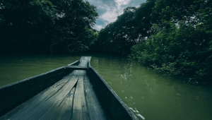 Experience Sylhet like never before during the magical rainy season