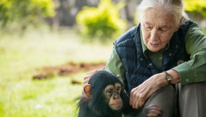 jane-goodall.jpg