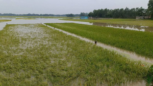 Heavy-rainfall-1.jpg