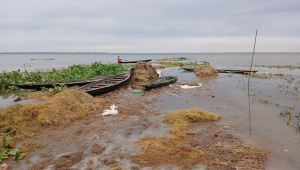 Farmers say heavy rainfall and subsequent flood have caused severe losses. Photo: Star