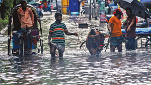 Dhaka cattle market sales increase before Eid-ul-Azha