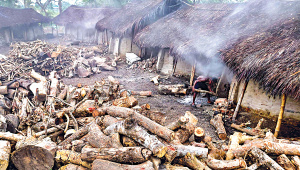 Burning_wood.jpg