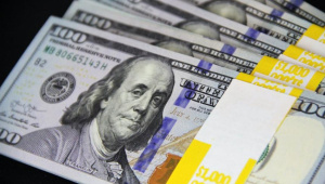 dollar (1).jpg