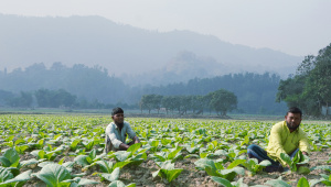 Bangladesh hill cutting law 2026
