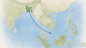 81432.jpg