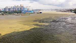 Industrial_Waste_Continues_to_Pollute.jpg
