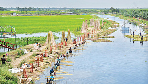 jute.jpg