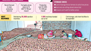 onion-harvest.jpg