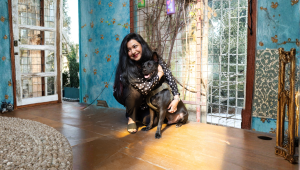 Adopt, don’t shop: Give a deshi animal a home