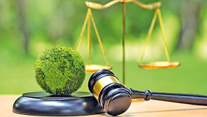 Law-Views.jpg