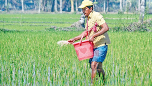 health risks of paraquat use in Bangladesh