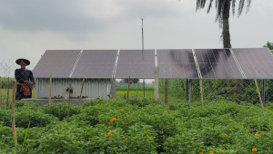 Solar-power-irrigation-01.jpg