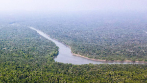 Sundarbans.jpg
