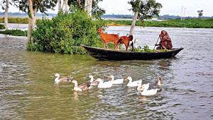 village-in-Chowhali.jpg