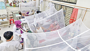 dengue.jpg