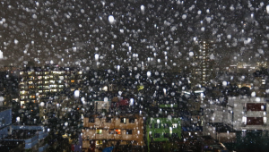 Copy of _P7A5777.png