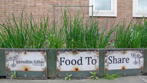 A handful of volunteers.jpg