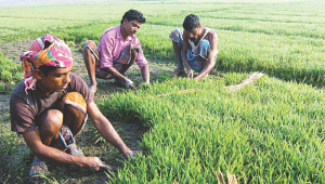Agriculture lending picks.jpg