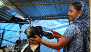 Future of food security