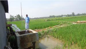 automated irrigation 1.jpg