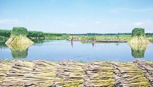 Bangladesh-and-water.jpg