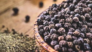 Black pepper