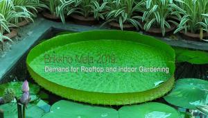 Brikho mela TN 1.jpg