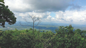 Coasting in the clouds