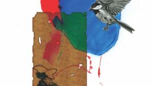 Do Women Have a Country