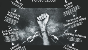 Forced labour The law of the jungle