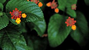 healthy relationship.jpg