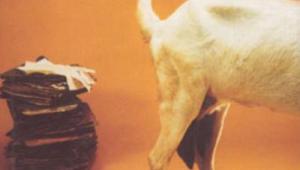 Mammaries socialist.jpg