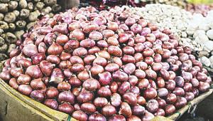 India bans onion exports