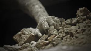 Rana Plaza collapse.jpg