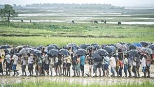 Rohingya Convergence