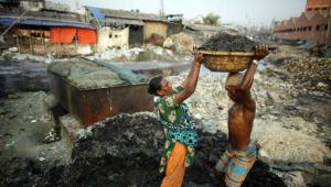 tannery waste poultry feed.jpg