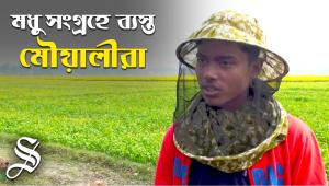 beekeepers busy collecting honey from mustard flowers