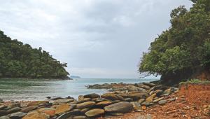 trafficking place 1.jpg