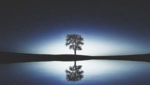 Unstable Serenity.jpg